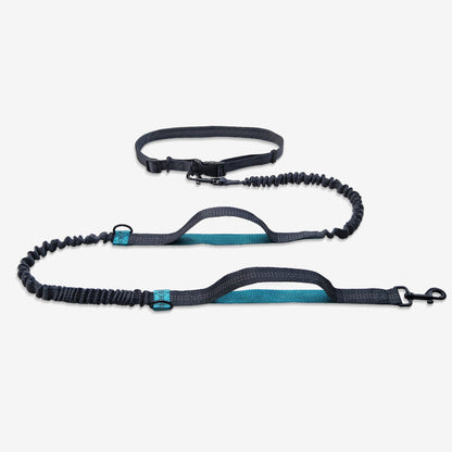 Portable Pet Leash Chain