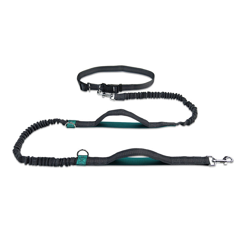 Portable Pet Leash Chain