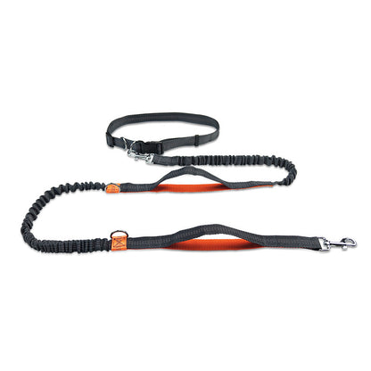 Portable Pet Leash Chain