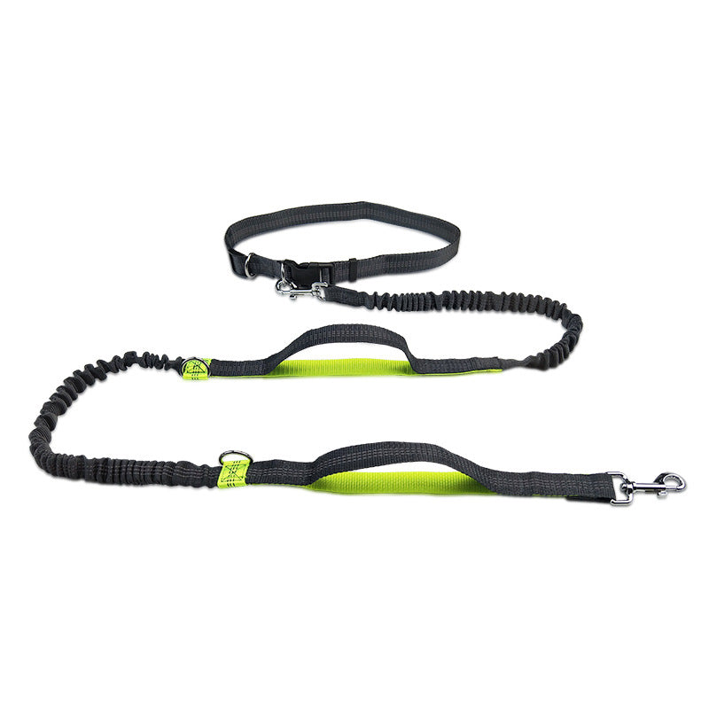 Portable Pet Leash Chain