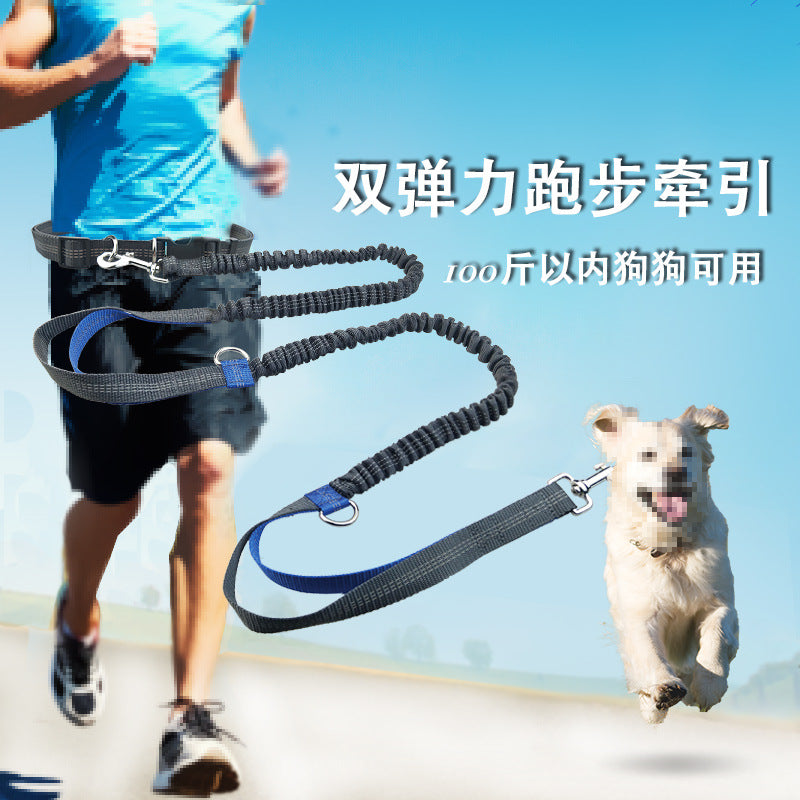 Portable Pet Leash Chain