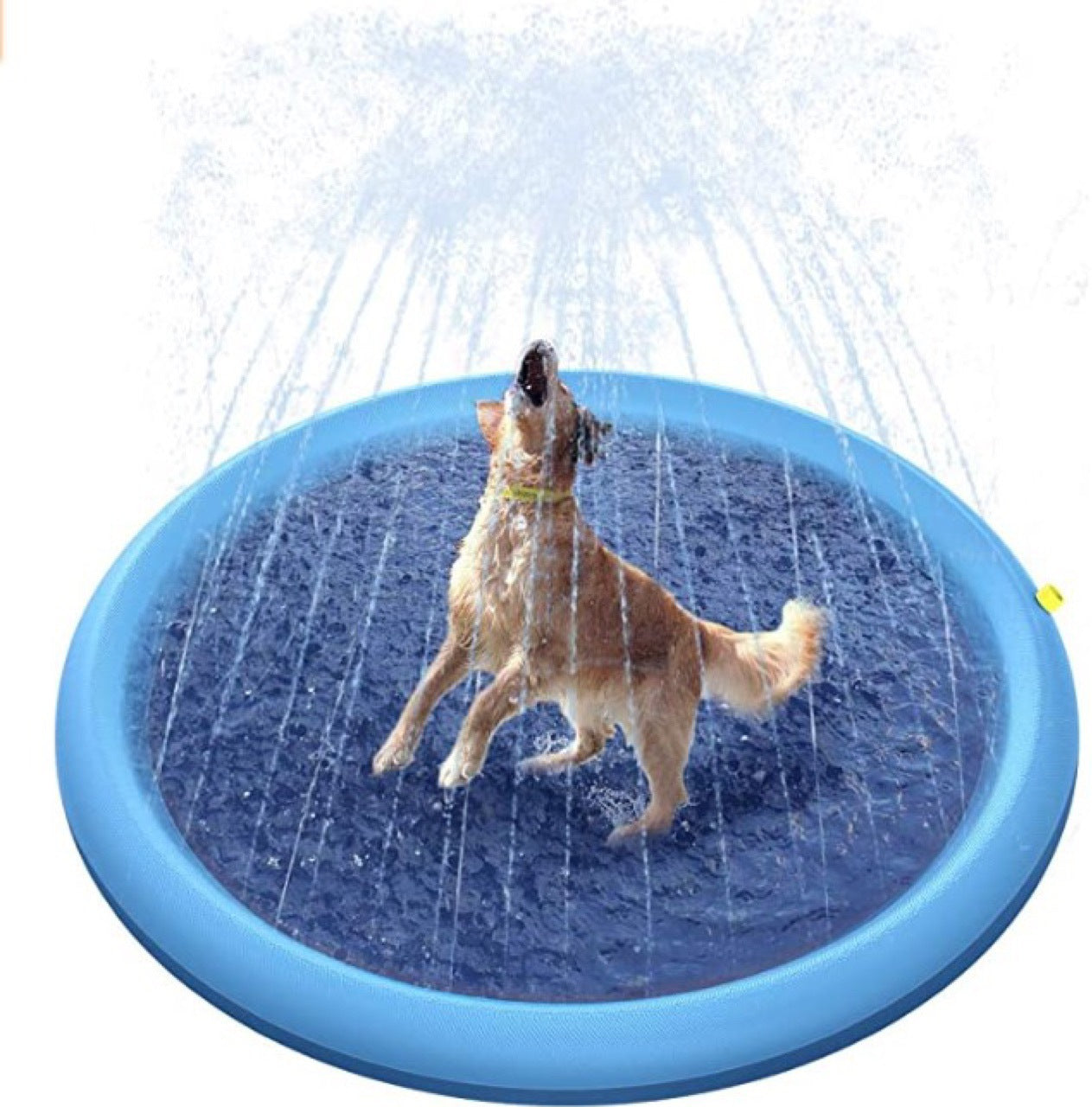 Spot PVC Pet Water Spray Pad