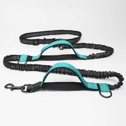 Portable Pet Leash Chain