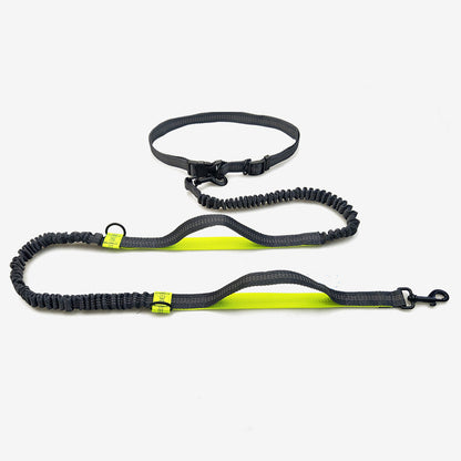 Portable Pet Leash Chain