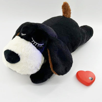 Pet Dog Toy