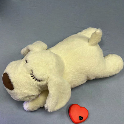 Pet Dog Toy