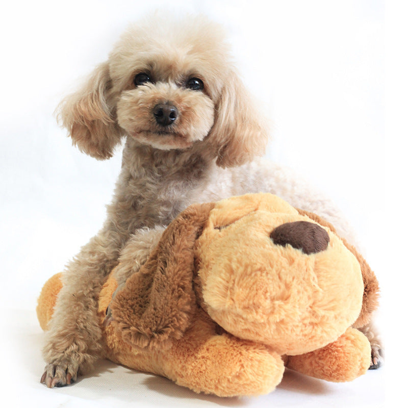 Pet Dog Toy